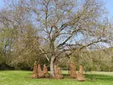 Network of Cistercians - Thumbnail 3