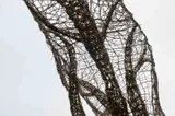 Inspire-Expire L'Arbre Et Son Reflet - Miniature 4