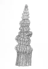 Dessins préparatoires - Miniature 14