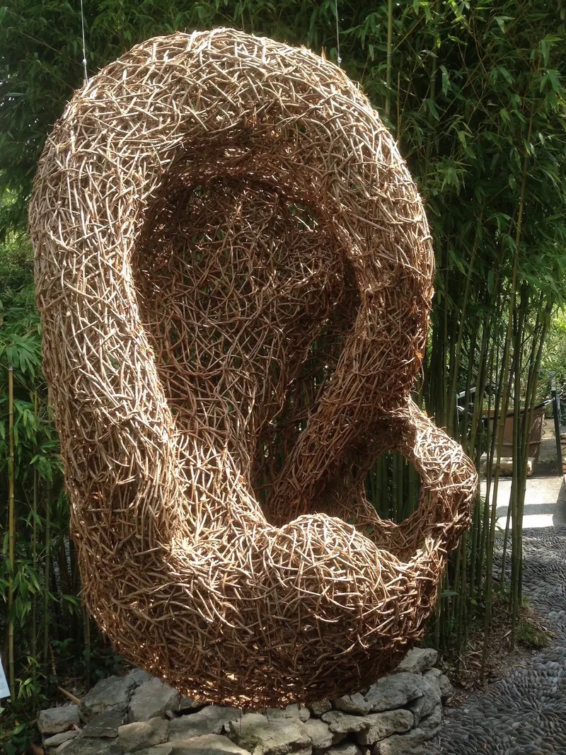 Network of Tangled Noises - Installation (2018) - Wild clematis by Véronique Matteudi
