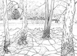 Dessins préparatoires - Miniature 4
