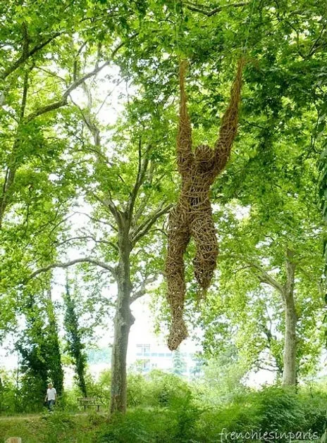 My Freer Life - Installation (2010) - Wild clematis by Véronique Matteudi