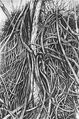 Dessins de paysages - Miniature 7