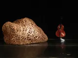 Protoforms - Thumbnail 3