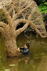 Inspire-Expire L'Arbre Et Son Reflet - Miniature 7