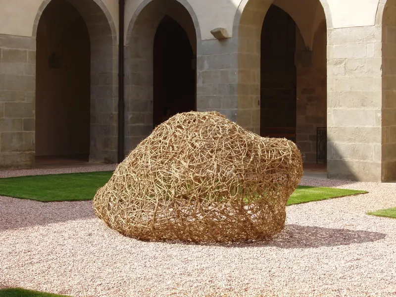 Protoforms - Installation (2011) - Wild clematis by Véronique Matteudi