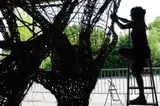 Inspire-Expire L'Arbre Et Son Reflet - Miniature 3