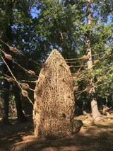 Régénérescence - Miniature 4