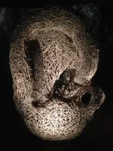 Network of Tangled Noises - Thumbnail 5