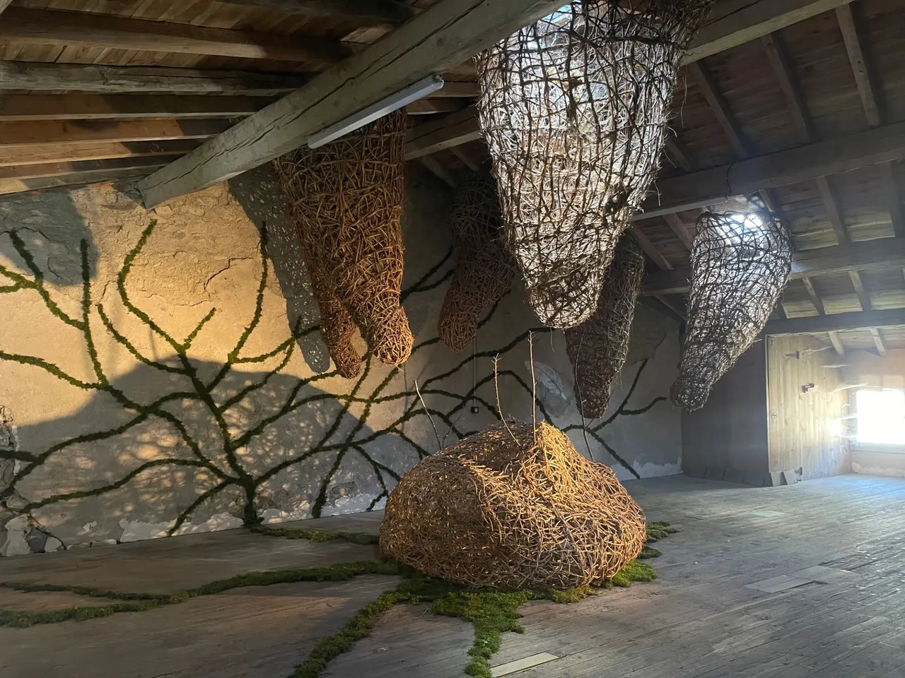 Exhibition “Etre vivant” - View 1 of 7