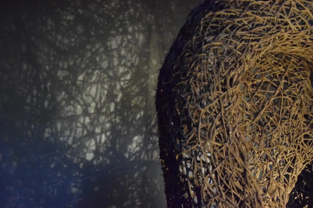 Sculpture lumière - Vue 1 sur 12