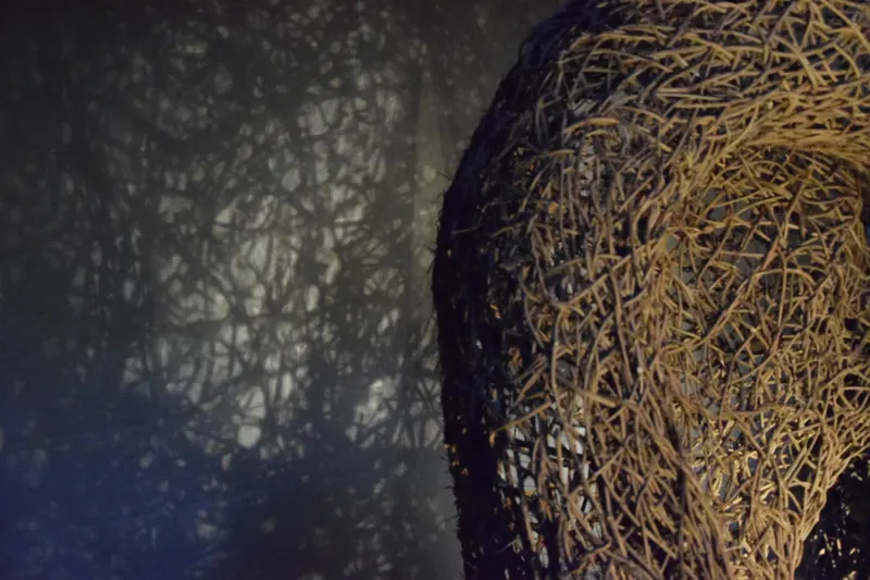 Light Sculpture - Sculpture (2016) - Wild clematis by Véronique Matteudi