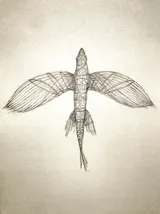 Exocet - Miniature 2