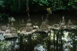 Sensibilisation à la biodiversité et sa fragilité - Miniature 2