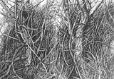 Dessins de paysages - Miniature 6