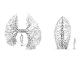 Dessins préparatoires - Miniature 16