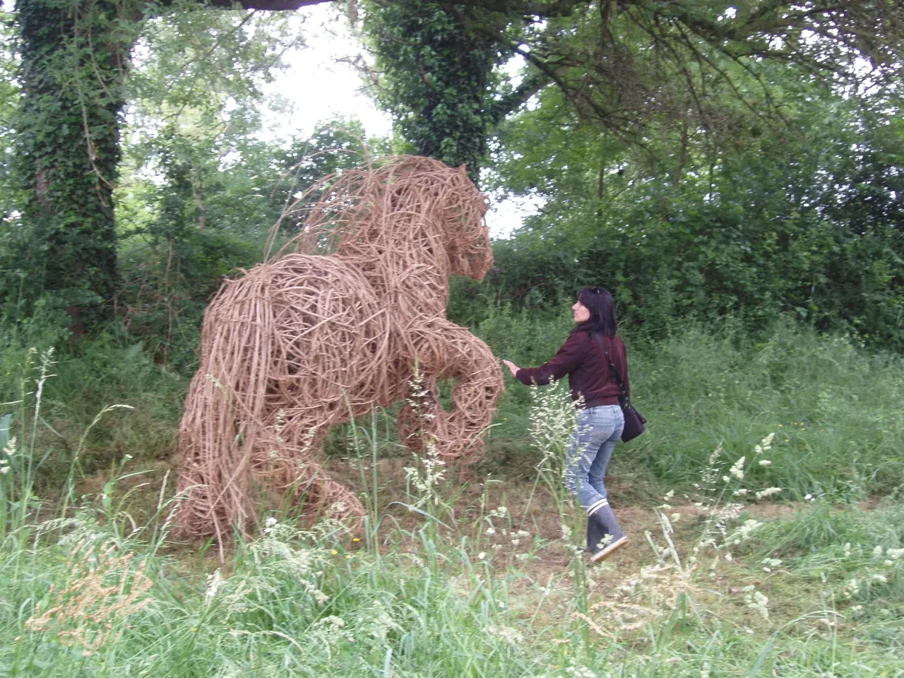 Un Cheval Non Désiré - Vue 1