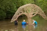 Inspire-Expire L'Arbre Et Son Reflet - Miniature 5