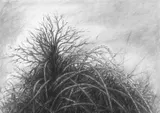 Dessins de paysages - Miniature 8