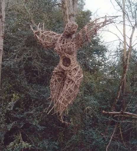 An Encounter - Installation (2002) - Wild clematis by Véronique Matteudi