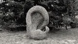 Network of Tangled Noises - Thumbnail 2