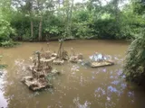 Sensibilisation à la biodiversité et sa fragilité - Miniature 4