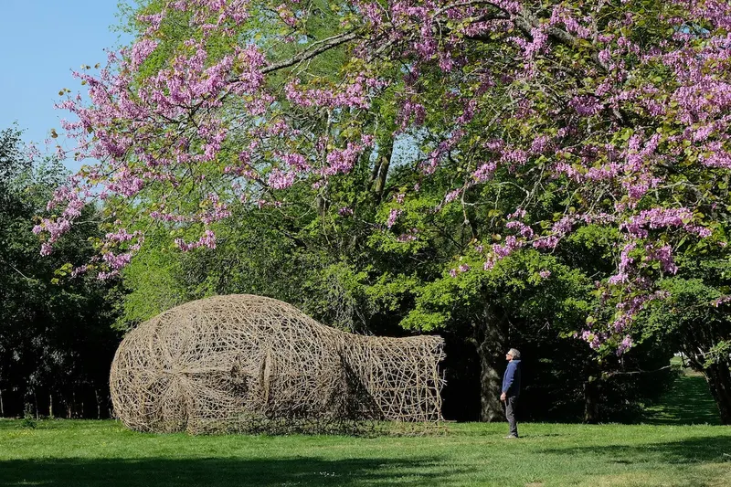 Dream - Installation (2022) - Wild clematis and structure in round steel bar by Véronique Matteudi