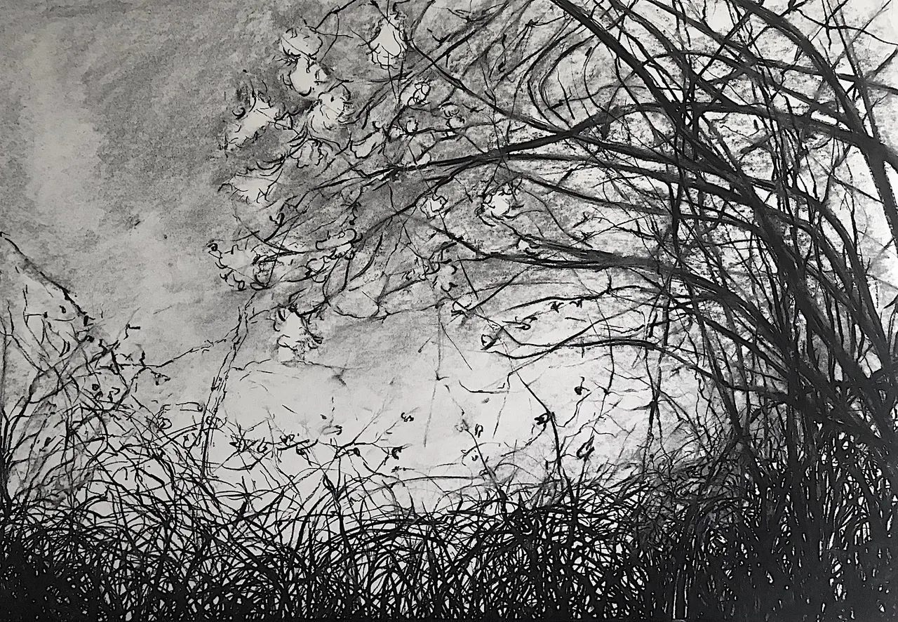 Dessins de paysages - Vue 1 sur 8