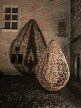 La graine - Miniature 4