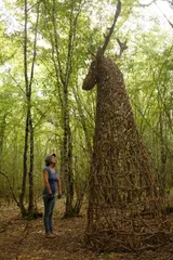 The Spirit of the Forest - Thumbnail 6