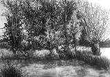 Dessins de paysages - Miniature 5
