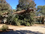 Utopian Sculptures (In Fair Weather) - Thumbnail 1