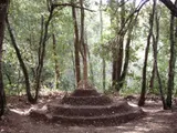 Au Fil Du Bois - Miniature 2
