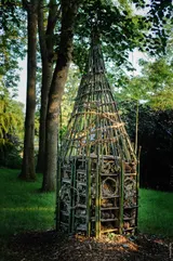 Sensibilisation à la biodiversité et sa fragilité - Miniature 1