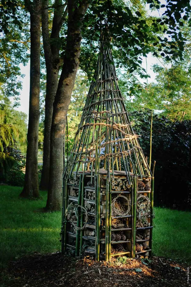 Raising awareness of biodiversity and its fragility - Ateliers & Médiations (2018) - Wild clematis, branches, bamboo, various plants by Véronique Matteudi