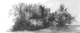 Dessins de paysages - Miniature 3