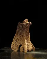 Vertèbres - Miniature 1